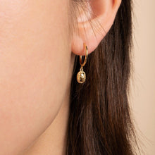 Load image into Gallery viewer, Scarab Jewelry - Scarab