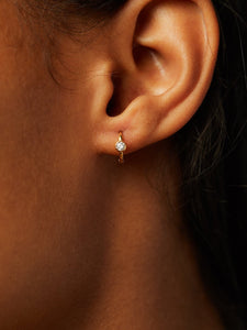 Gold Huggie Hoops - Milo