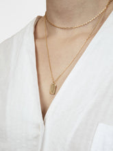 Load image into Gallery viewer, Dog Tag Necklace Set - Ivy
